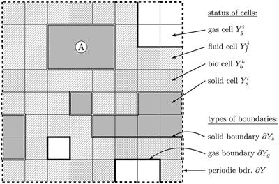 Discrete-Continuum Multiphase Model for Structure Formation in Soils Including Electrostatic Effects